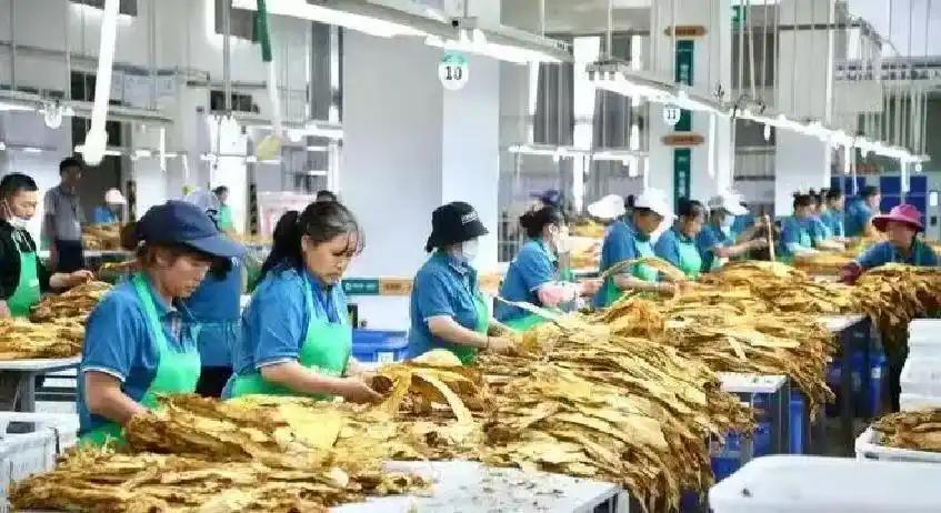 博格巴:亚马尔即使不是世界最佳也是前三,他需更专注于踢球