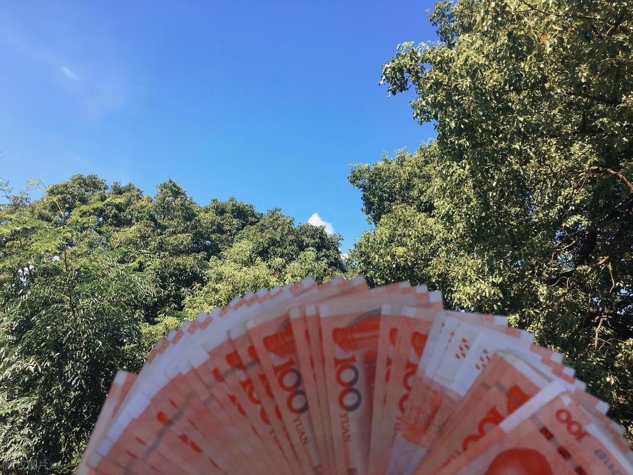 火箭控卫谢泼德突降虎扑,求安利暑期遛娃地