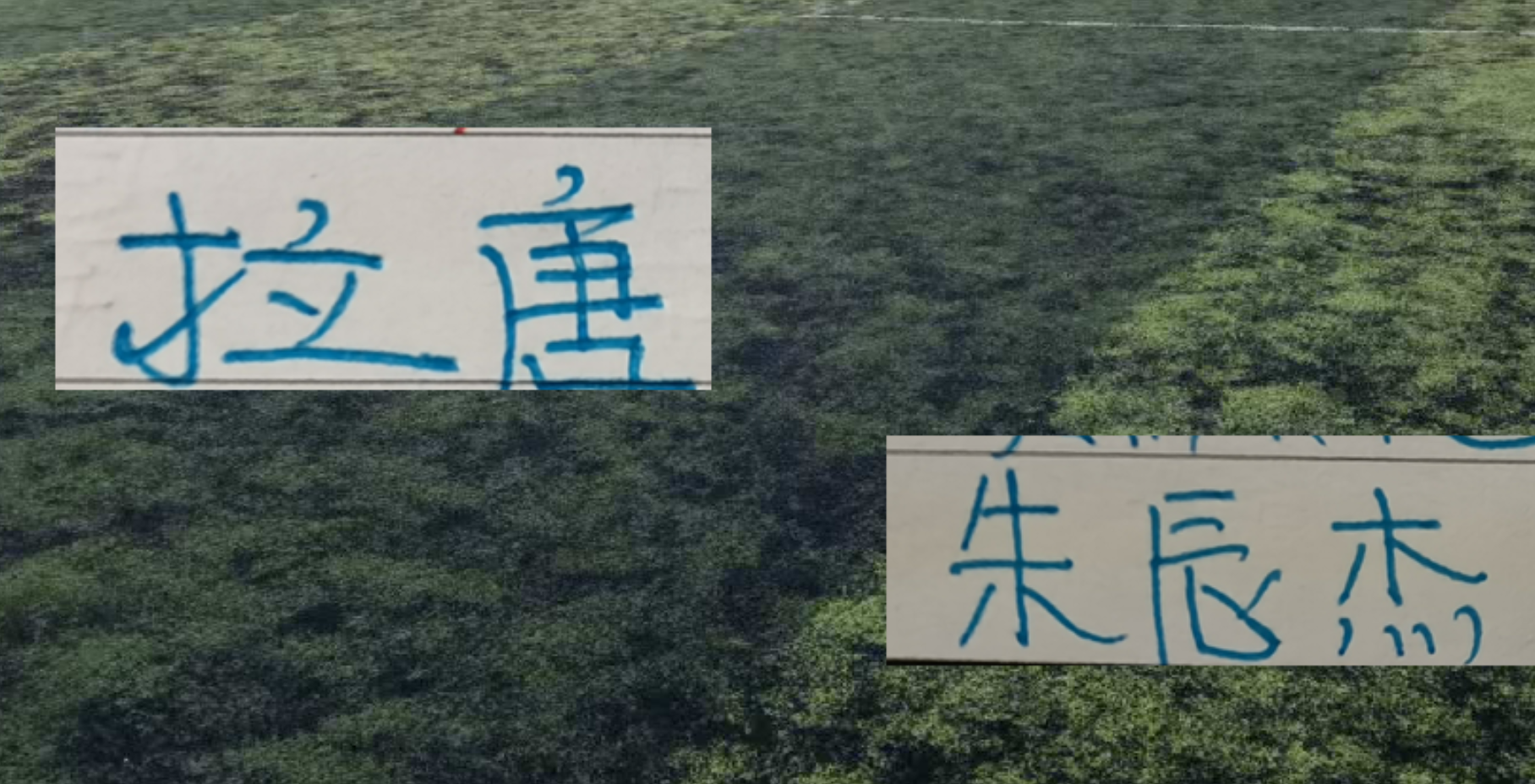 场外暴力让纽约蒙羞:17岁少年被打至昏迷,马刺遭扔鸡蛋