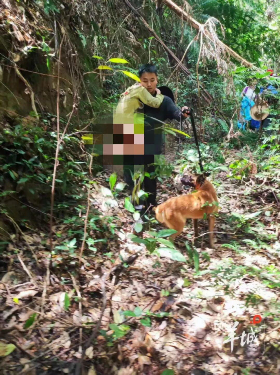 新播客聊汉密尔顿复苏及赛事前瞻