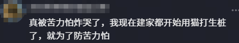 第25轮四场硬战 北京国安有CCTV直播 成都蓉城VS徐正源 申花遇宿敌 海牛保级战